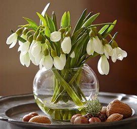 Mid Winter Christmas, Snowdrop Flower, Corporate Flowers, Porcelain Planter, After Life, Table Arrangements, Original Gift, Faux Flowers, Flower Arrangement