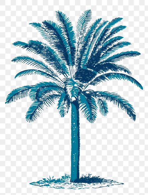 Palm Tree Png, Still Life With Apples, Blue Palm Tree, Classic Illustration, Palm Tree Vector, Vintage Floral Backgrounds, Barnes Foundation, Tree Palm, Watercolor Backgrounds