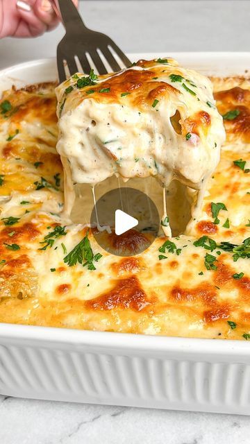 Chicken And Spinach Lasagna, Chicken Alfredo Lasagna Roll Ups, Alfredo Lasagna Roll Ups, Chicken Lasagna Roll Ups, Blackened Chicken Alfredo, Chicken Spinach Lasagna, Lasagna Rolls Recipe, Chicken Lasagna Rolls, Homemade Chicken Alfredo