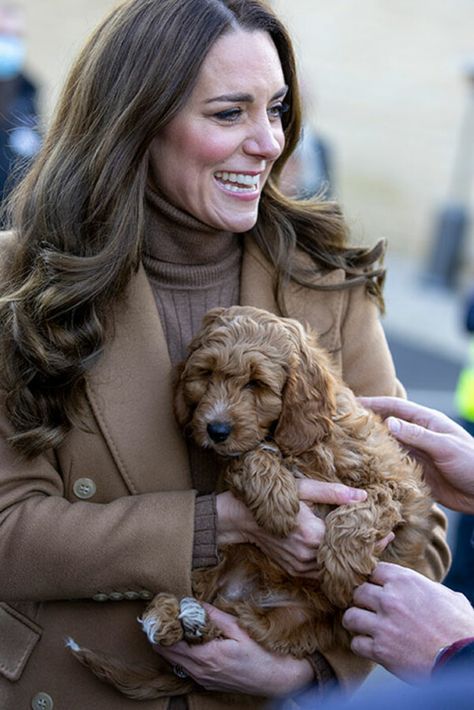 Kate Middleton and Prince William meet therapy puppy at Lancashire hospital - live updates - Photo 5 Duchesse Kate, Prince William Et Kate, Princesse Kate Middleton, Looks Kate Middleton, Prins William, Principe William, Cockapoo Puppies, Kate Middleton Prince William, Catherine Elizabeth Middleton