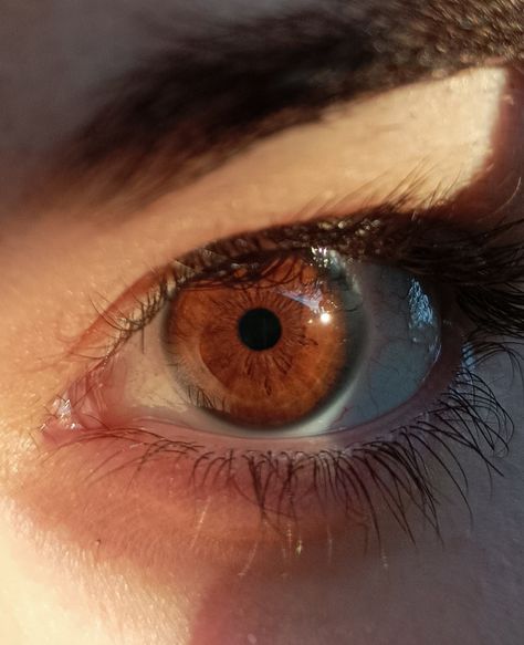 Dark Amber Eyes, Mix Aesthetic, Color Eyes, Amber Eyes, Brown Eye, Oc Inspo, Healthy Girl, Water Fountain, Cool Eyes