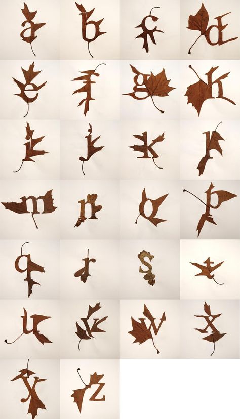 Nature Letters, Words Typography, Typographic Art, Art Class, Lettering Alphabet, Autumn Leaves, Alphabet, Typography, Like Button