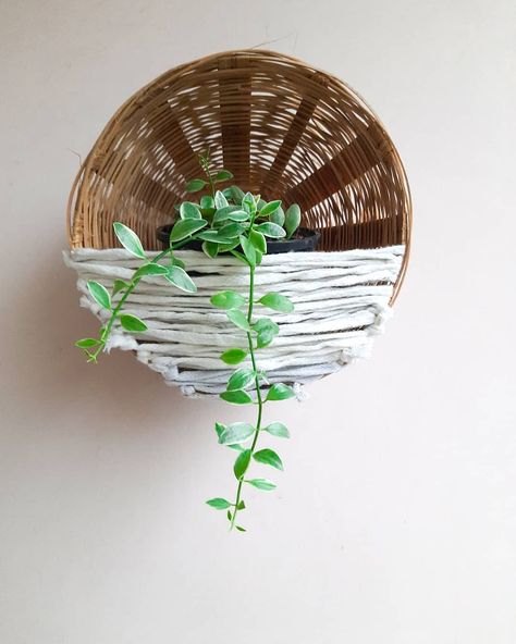 Cane Baskets, Canes Decor, Bamboo Canes, Planter Basket, Garden Design Layout, Basket Planters, Diy Planters, Boho Bedroom, Basket Decoration