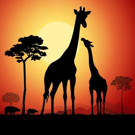 Silhouette Giraffes Africa Animals Illustration, Giraffe Silhouette, Africa Painting, Giraffe Drawing, Animal Wallpapers, Africa Art Design, Beautiful Countries, African Savannah, African Sunset