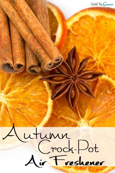 Air Freshener Recipes, Fall Smells, Homemade Potpourri, Simmer Pot Recipes, Stove Top Potpourri, Simmering Potpourri, Homemade Air Freshener, Potpourri Recipes, Diy Scent