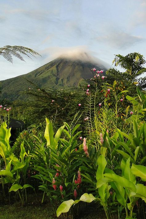 Arenal Volcano is a dominating presence that creates a dramatic backdrop to Costa Rica’s idyllic natural beauty. Before you embark on an adventure to visit this picture-perfect wonder, check out our guide to learn everything you need to know! Simple Volcano, Volcano Aesthetic, Costa Rica Volcano, Volcano Pictures, Landscape Tropical, Picture Travel, Aesthetic Adventure, Costa Rica Luxury, Photography Simple