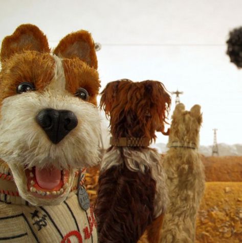 Isle Of Dogs Movie, Dog Trailer, Berlin Film Festival, Wes Anderson Movies, Wes Anderson Films, Dog Movies, South By Southwest, Isle Of Dogs, Edward Norton