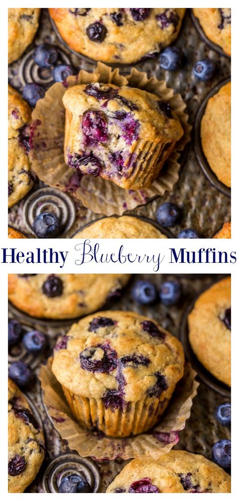 Healthy Greek Yogurt and Honey Blueberry Muffins - Baker by Nature Honey Blueberry Muffins, Greek Yogurt And Honey, Greek Yogurt Blueberry Muffins, Blueberry Muffin Recipe Healthy, Blueberry Yogurt Muffins, Blueberry Muffin Recipe, Healthy Blueberry Muffins, Baker By Nature, Healthy Greek Yogurt