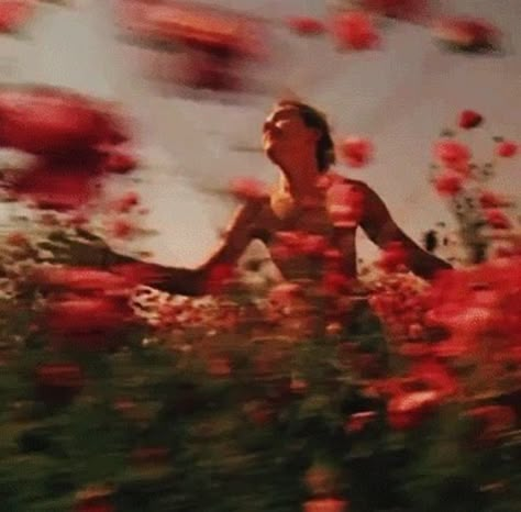 Red Aesthetic, Pics Art, Photography Inspo, Pretty Pictures, Cinematography, In The Middle, Flower Power, The Middle, Enchanted