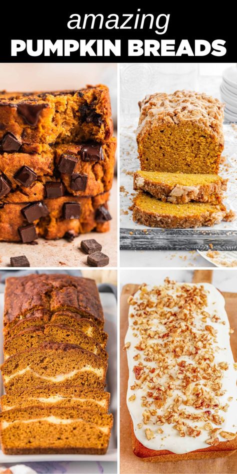 four different pumpkin breads Pumpkin Bread With White Chocolate Chips, Pumpkin Bread With Streusel Topping, Pumpkin Bread With Chocolate Chips, Pumpkin Bread Recipes, The Best Pumpkin Bread, Pumpkin Cranberry Bread, Chocolate Pumpkin Bread, Best Pumpkin Bread, Best Pumpkin Bread Recipe