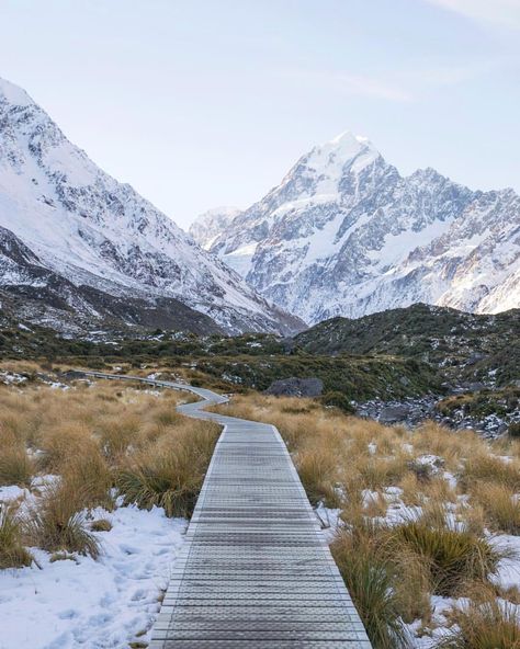 New Zealand on Instagram: “The great outdoors. #NZMustDo [📍Aoraki/Mt Cook National Park. 📷: @friiidaberg] #Travel #NewZealand #NZ #Nature” #naturephotography #landscapephotography Outdoor Photography Tips, Best Vacation Destinations, Traveling Tips, New Zealand Travel, Canvas Acrylic, South Island, Best Places To Visit, Best Vacations, Outdoor Photography