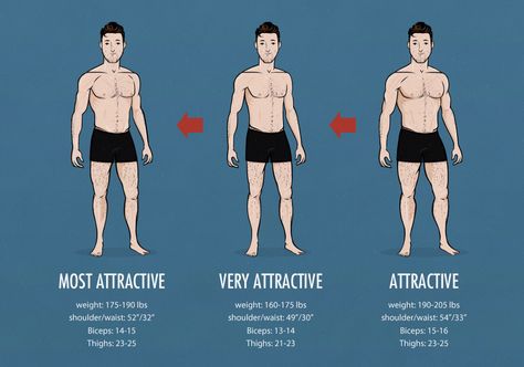 Male body types Male Model Body, Mens Body Types, Ideal Male Body, Perfect Physique, Popular Workouts, Body Proportions, Male Physique, Model Body, Weight Training