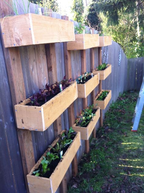 35+ Ideas Of Beautiful Fences In The Countryside - Engineering Discoveries Fence Hanging Garden, Fence Planter Boxes, Hanging Plants On Fence, Fence Hanging Planters, Fence Inspiration, Urban Landscaping, Garden Box Plans, Hanging Planter Boxes, Landscaping Along Fence