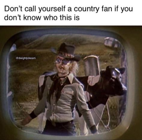 Funny Cowboy Memes, Cowboys Memes, Vampire Ball, Country Fan, 2 Movie, Really Funny Pictures, Beetlejuice, The Vampire, You Funny