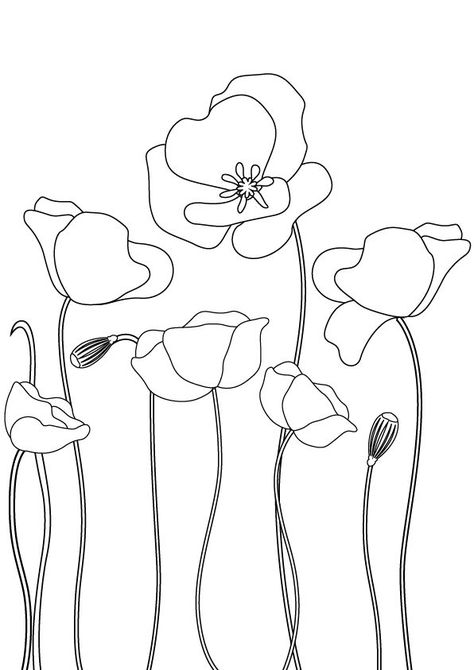 Poppies Line Drawing, How To Draw Poppy, Poppy Simple Drawing, Poppy Flower Embroidery Pattern, Poppy Flower Line Drawing, How To Draw A Poppy Flower, Poppies Doodle, Poppy Embroidery Pattern, Poppy Line Drawing