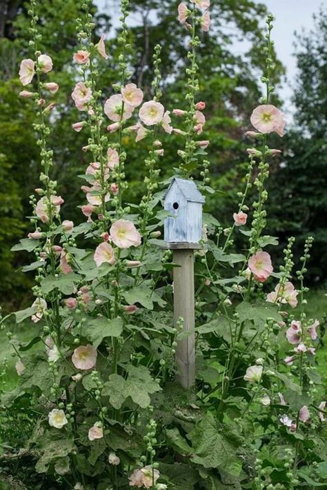 Cottage Garden Design, Have Inspiration, The Secret Garden, Veggie Garden, Garden Cottage, Farm Gardens, Back Garden, Country Gardening, An Angel