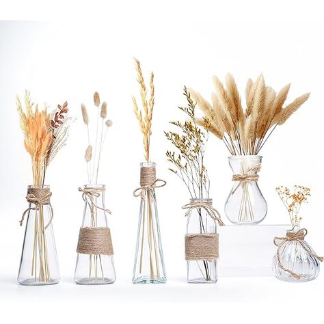 Boho Pampas Grass Decor, Glass Vases Centerpieces, Mini Vases, Square Jars, Boho Vase, Small Glass Vases, Pampas Grass Decor, Grass Decor, Clear Vases