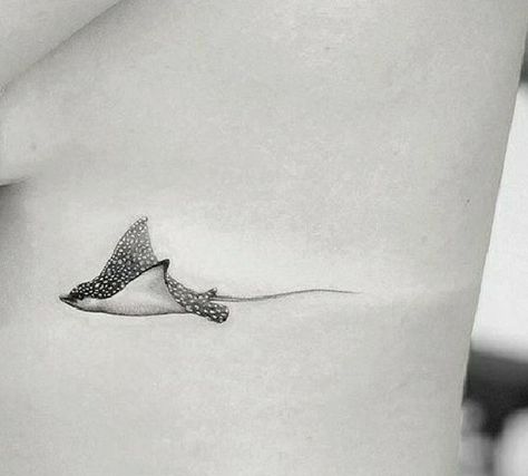 Realistic Stingray Tattoo, Fine Line Sting Ray Tattoo, Minimalist Stingray Tattoo, Sealife Tattoos For Women, Stingray Meaning, Spotted Eagle Ray Tattoo, Small Stingray Tattoo, Eagle Ray Tattoo, Sting Ray Tattoo