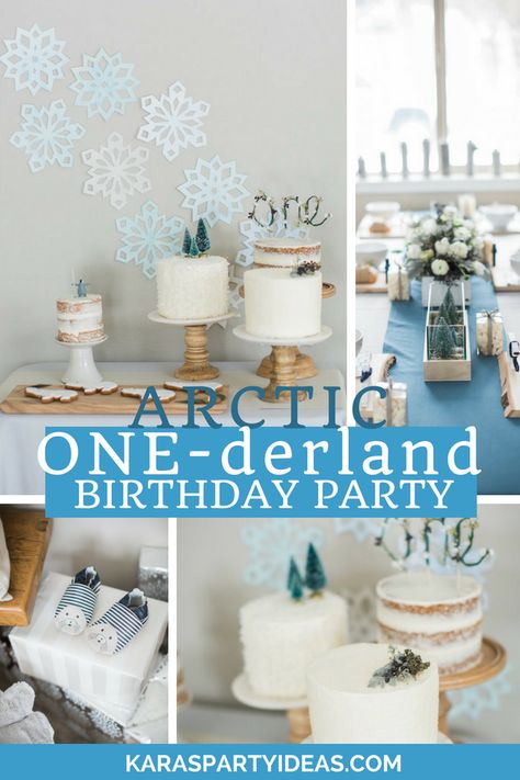 Kara's Party Ideas Arctic One-derland Birthday Party | Kara's Party Ideas Arctic Themed Birthday Party, Winter Wonderland Birthday Party Food, Arctic Onederland, Arctic Animal Birthday Party, 1st Birthday January Party Ideas, January Birthday Party Ideas For Boys, Cold Birthday Party Ideas, Winteroneder Land Theme Party Boy, Winter One Derland First Birthday Boy