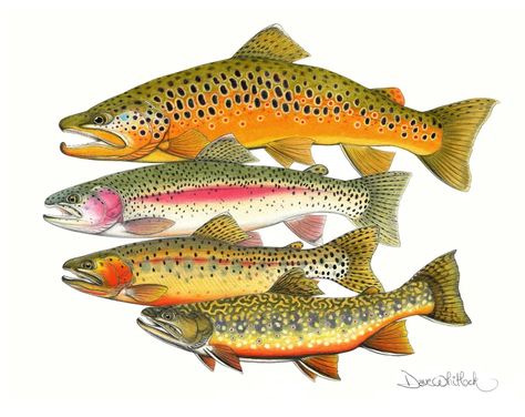 Trout Painting, Trout Art, Rainbow Trout Fishing, Fly Fishing Art, Fish Artwork, Fish Crafts, Salmon Flies, Brown Trout, Fish Sculpture