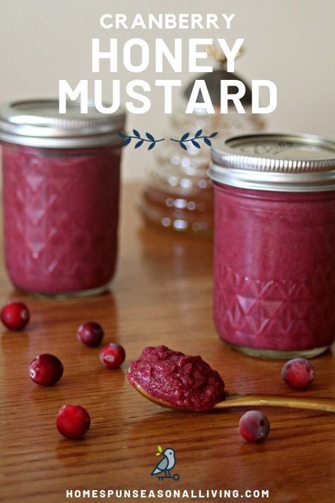 Make and can your own cranberry honey mustard. Use this delicious and easy recipe for delicious leftover turkey sandwiches, and to elevate homemade grilled cheese. #canning #homemaderecipes #fromscratch Honey Mustard Recipe, Cranberry Honey, Cranberry Mustard, Homemade Mustard, Mustard Recipe, Homemade Pantry, Seasonal Living, Homemade Condiments, Homemade Seasonings