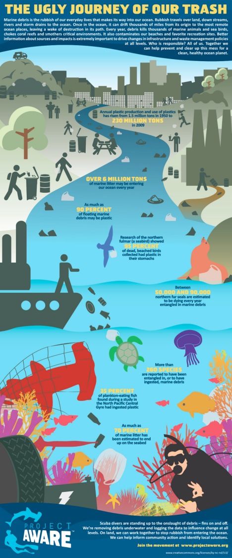 What is the impact of our plastic use on the ocean's animal life? A new infographic from Project AWARE sheds a bit of light on the sheer scale of the problem, and the incredible number of animals affected by our plastic problem. Project AWARE states that as much as 6 million tons of disposable goods enter the ocean every year, and that the animals that live in the water are greatly affected. Eco Activism, Marine Debris, Ocean Pollution, Save Our Oceans, Water Pollution, Environmental Education, Expo 2015, Environmental Issues, Environmental Science