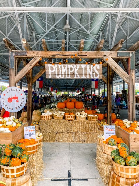 Pumpkin Sale Stand, Fall Festival Entrance Ideas, Pumpkin Stand Ideas, Fall Fest Decor, Pumpkin Patch Entrance, Pumpkin Patch Display, Fall Farmstand, Harvest Festival Food, Pumpkin Patch Business