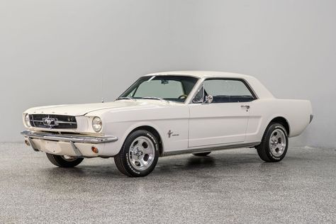 1960 Mustang, 23 Bday, White Mustang, Ford Mustang 1964, 1965 Ford Mustang, 1960s Cars, 1965 Mustang, The Raiders, Vw Bugs