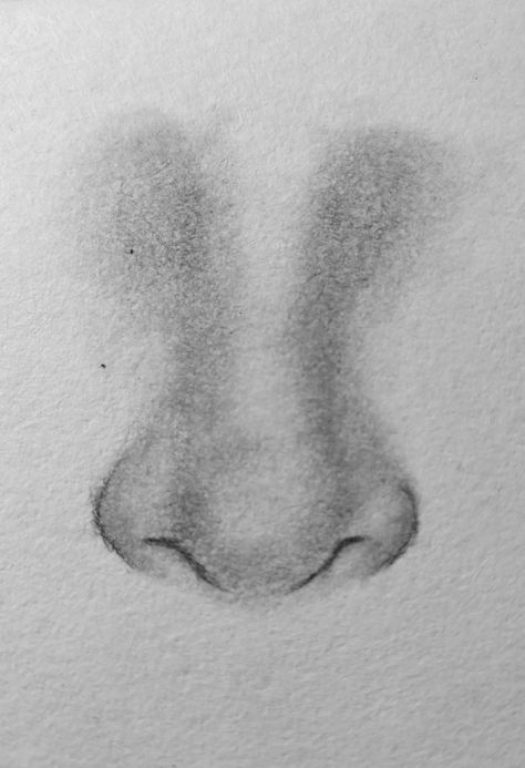 Drawing of a nose. Real Nose Drawing, Cute Nose Sketch, How To Draw The Back Of A Head With Hair, Nose Piercing Drawing Reference, Men Nose Drawing, How To Draw Boy Nose, Front Nose Drawing, Scrunched Nose Drawing, Guy Nose Drawing