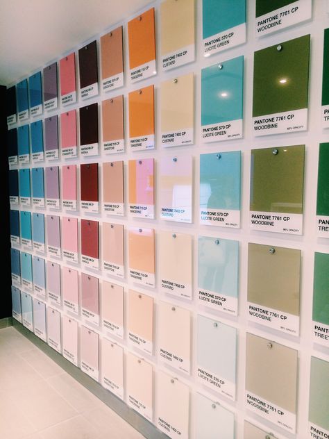 To spice up a blank wall in one of our new branches, we printed these acrylic Pantone colours. We gotta say, we love how they turned out. Pantone Wall, Pantone Colours, Donor Wall, Paint Store, Printing House, Material Library, English Classroom, Color Chip, Storing Paint