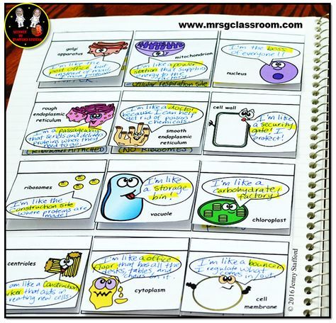 Cartoon Organelles - SCIENCE Interactive Notebook on CELLS. Visit http://www.mrsgclassroom.com for more information! Cell Organelles Comic Strip, Biology Interactive Notebook, Teaching Cells, Cellular Biology, Life Science Middle School, Science Cells, Biology Classroom, 7th Grade Science, Secondary Science