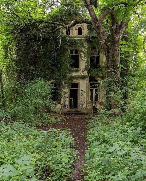 Apocalypse Aesthetic, Cottage In The Woods, Abandoned Mansions, A Level Art, Forest House, Art Inspiration Painting, Abandoned Buildings, Dream House Exterior, Abandoned Houses