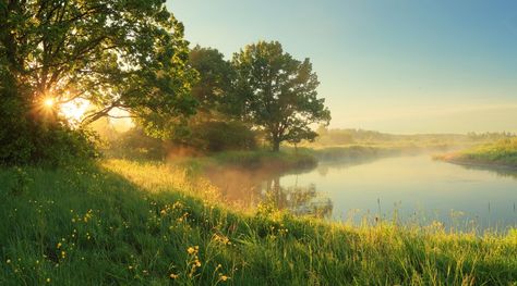 Mindfulness of Feelings - Jack Kornfield https://jackkornfield.com/mindfulness-of-feelings-2/?utm_source=pinterest&utm_medium=social&utm_campaign=nitasweeneyauthor&utm_content=articlesinthequeueformerlyat4 Spring Landscape Photography, Sunny Morning, The Power Of Music, Morning Sunrise, Rural Landscape, Feelings And Emotions, Amazing Grace, Relaxing Music, Life Experiences