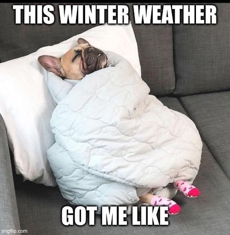 I Hate Winter Humor, Freezing Memes Funny, Funny Snow Day Memes, Snow Meme Funny Hilarious, Hate Winter Funny, Cold Memes Funny Winter, December Memes Funny, Cold Weather Memes Humor Funny, Winter In The South Humor