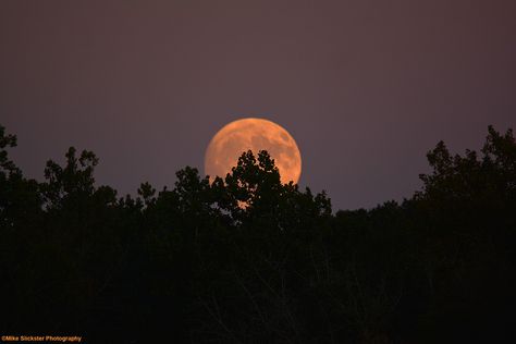 Moon Aesthetic Horizontal, Moon Horizontal Wallpaper, Moon Wallpaper For Macbook, Moon Aesthetic Wallpaper For Laptop, Moon Landscape Wallpaper Desktop, Moon Wallpaper Desktop Hd, Moon Background Laptop, Moon Background Landscape, Las Aesthetic