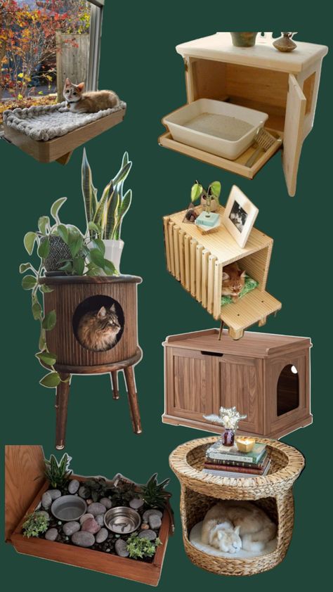 Cat setup, litter box, bed, furniture, etc Plant Cat Litter, Apartment Cat Litter Ideas, Raised Cat Bed, Cat Setup Apartment, Cute Litter Box Ideas, Apartment Litter Box Ideas, Cat Corner Ideas Small Spaces, Cat Set Up In Apartment, Kitty Litter Box Ideas