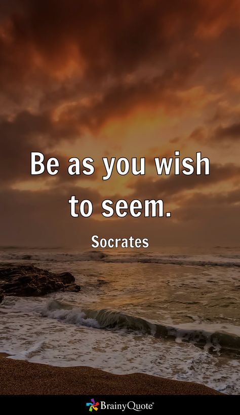 Socrates Quotes Philosophy, Quotes Philosophy, Socrates Quotes, Aristotle Quotes, True Things, Socrates, A Whole New World, Philosophy, Quotes