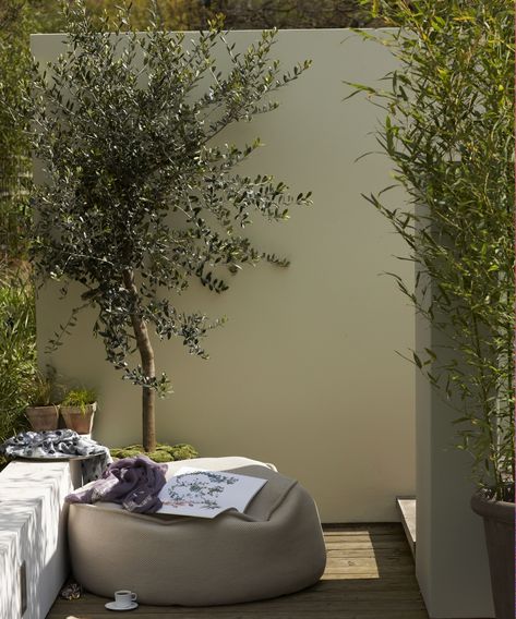 Tall Garden Wall Ideas, Garden Painted Wall, Painted Courtyard Wall, Outdoor Wall Colour Paint Colors, Garden Wall Planting Ideas, Dark Garden Walls, Garden Walls Painted, Garden Wall Colour Ideas, Courtyard Walls Ideas