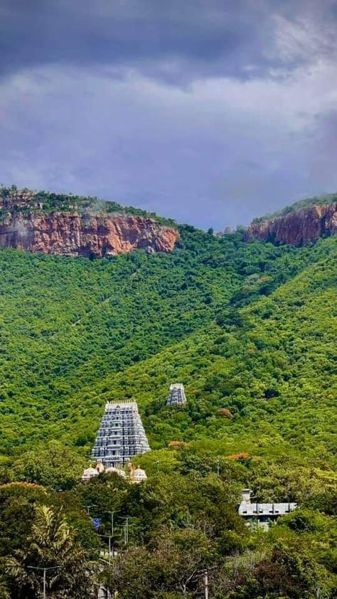 Tirupathi Temple Images, Thirumala Thirupathi Temple, Tirupati Aesthetic, Tirumala Hills, Venkateswara Swamy Images Hd 1080 Wallpaper, Venkateswara Temple, Temple India, Indian Temple Architecture, Ms Dhoni Wallpapers