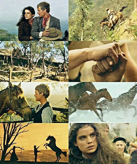 "The Man From Snowy River" And "The Man From Snowy River II"/"Return To Snowy River" ♥ The Man From Snowy River, Jim Craig, Man From Snowy River, Snowy River, Horse Movies, Fav Movie, Favourite Movie, Film Reels, Beautiful Music