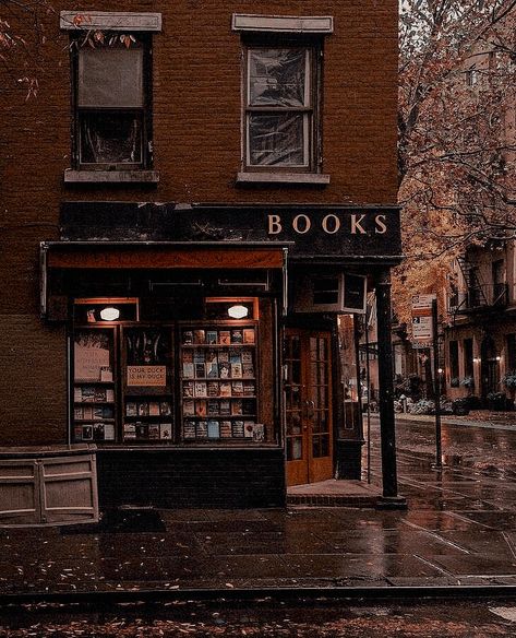 Tea Person, Bookstore Cafe, Dream Library, London Lifestyle, Book Cafe, Dark Autumn, Creative Artwork, Dark Academia Aesthetic, Top Art