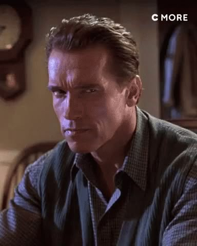 You Know It Arnold Schwarzenegger GIF - YouKnowIt ArnoldSchwarzenegger Stare - Discover & Share GIFs Luis Guzman, Running Gif, Ballet Lessons, True Lies, Smile Gif, Short Humor, Arnold Schwarzenegger, You Know It, Terminator