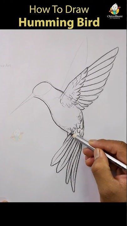 Hummingbird Easy Drawing, How To Do Pencil Shading, Cute Sketches Of Animals, Drawing A Hummingbird, Bird Pencil Drawing Sketches, Humming Bird Painting Acrylics Easy, Drawing With Colored Pencils Ideas, How To Draw A Hummingbird, Hummingbird Drawing Sketches