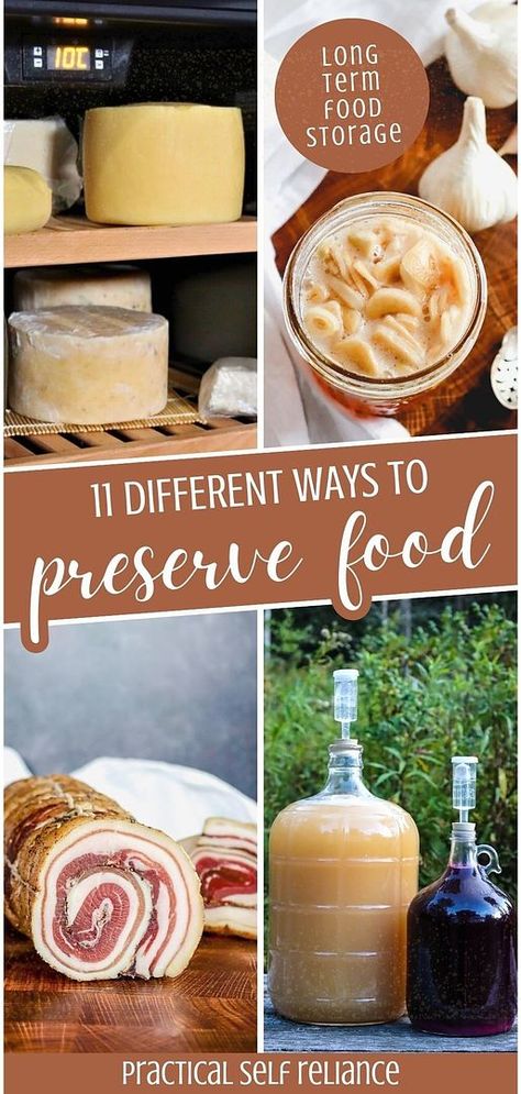 Discover 11 Different Ways to Preserve Food, a vital aspect of long term food storage. This guide covers a range of methods from ancient techniques to modern approaches, suitable for fruits, vegetables, meats, and more. Ideal for those interested in sustainable living and food preservation. Learn about homesteading skills and emergency food storage supply at practicalselfreliance.com. Ancestral Living, Food Preservation And Storage, Apartment Homestead, Homestead Canning, Diy Food Storage, Preserved Food, Living Frugal, Canning Food, Preserve Food