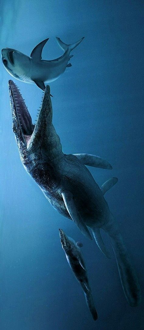 Sea Dinosaurs, Marine Reptiles, Prehistoric Wildlife, Cretaceous Period, Prehistoric World, Paleo Art, Underwater Creatures, Extinct Animals, Jurassic Park World