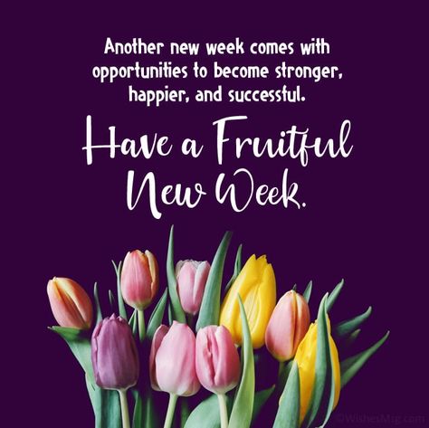 New Week Quotes, Monday Inspirational Quotes, Monday Greetings, Monday Wishes, Happy Monday Quotes, Monday Morning Quotes, Good Monday Morning, Blessed Week, Monday Motivation Quotes