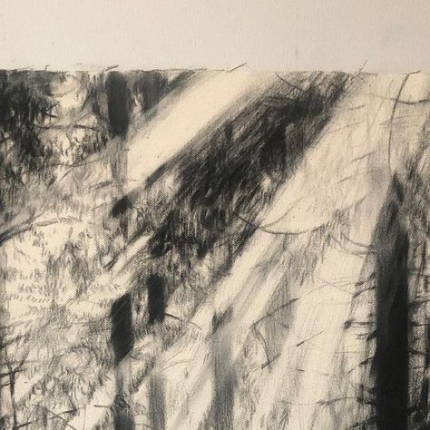 bakjyng on Instagram: "Charcoal on canvas. 20x24 . Something warm and fuzzy.. . #contemporarydrawing #drawing #charcoaldrawing #charcoalart #charcoallandscape #landscapedrawing #forest" Charcoal Landscape Art, Charcoal On Canvas, Charcoal Landscape Drawing, Charcoal Landscape, Baby Ray, Drawing Charcoal, Charcoal Art, Landscape Drawings, Charcoal Drawing