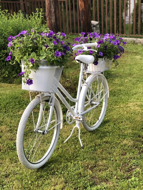 Bicycle Planter Ideas, Garden Bicycle, Bicycle Planter, Unique Event Decor, Bike Planter, Bicycle Pictures, Bicycle Diy, Gardening Aesthetic, Unique Garden Decor