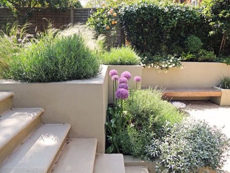 Tiered Garden, Back Garden Design, Sloped Garden, Garden Steps, Modern Garden Design, Low Maintenance Garden, Outdoor Gardens Design, Courtyard Garden, Terrace Garden