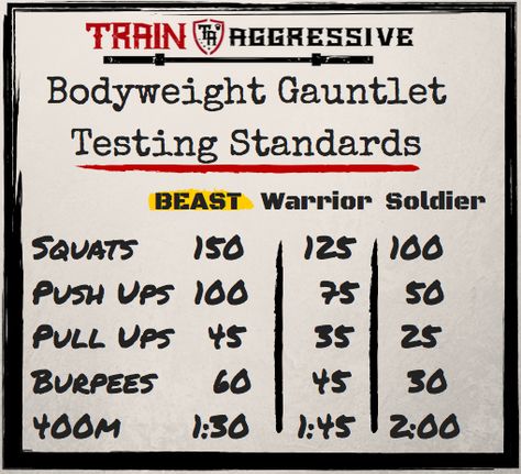 Basic to Beast Complete Bodyweight Workout Program Bodyweight Training Program, Fast Fat Burning Workout, Body Weight Workout Plan, Military Workout, Bodyweight Training, Fast Workouts, Adolescent Health, Workout Routine For Men, Calisthenics Workout